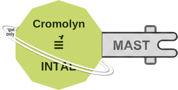 Cromolyn ballicule: receptor binding, kinetics and half-life diagram