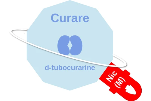 Curare ballicule — decagon mechanism diagram