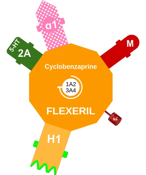 Cyclobenzaprine ballicule — decagon mechanism diagram