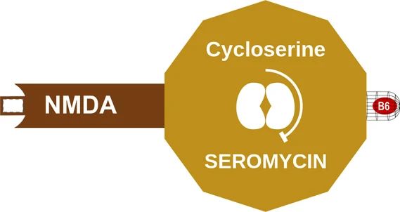 Cycloserine ballicule: receptor binding, kinetics and half-life diagram