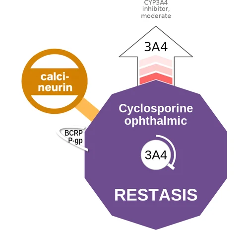 Cyclosporine ophthalmic ballicule — decagon diagram of its receptor and enzyme targets