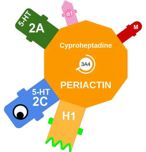 Cyproheptadine ballicule — decagon mechanism diagram