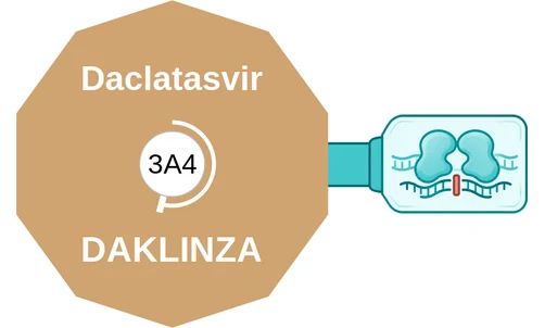 Daclatasvir ballicule: receptor binding, kinetics and half-life diagram