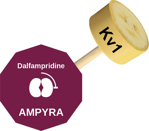 Dalfampridine ballicule — decagon mechanism diagram