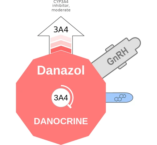 Danazol ballicule: receptor binding, kinetics and half-life diagram