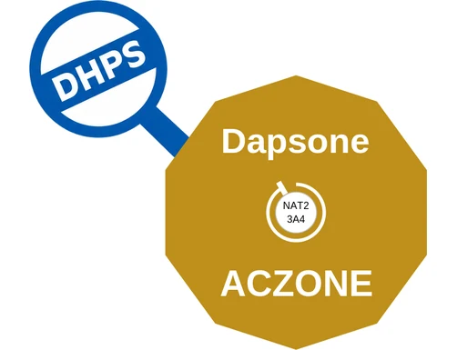 Dapsone ballicule: receptor binding, kinetics and half-life diagram