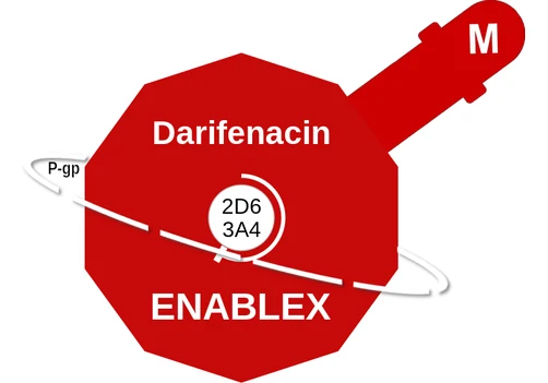 Darifenacin ballicule: receptor binding, kinetics and half-life diagram