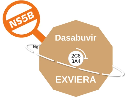 Dasabuvir ballicule — decagon mechanism diagram
