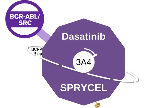 Dasatinib ballicule: receptor binding, kinetics and half-life diagram