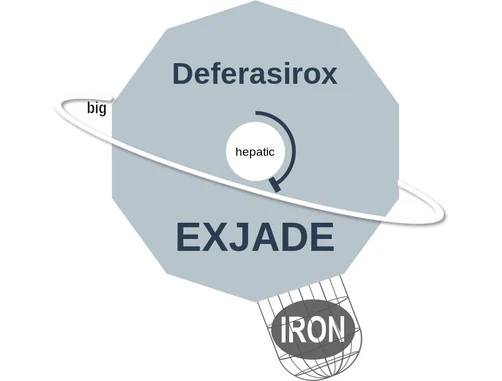 Deferasirox ballicule: receptor binding, kinetics and half-life diagram
