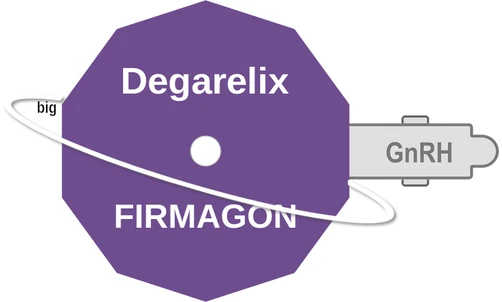 Degarelix ballicule: receptor binding, kinetics and half-life diagram