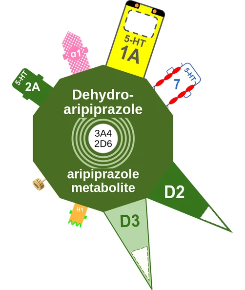 Dehydroaripiprazole ballicule — decagon mechanism diagram