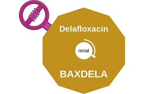 Delafloxacin ballicule: receptor binding, kinetics and half-life diagram