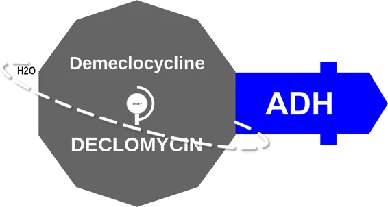 Demeclocycline ballicule — decagon mechanism diagram