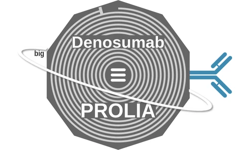 Denosumab ballicule — decagon mechanism diagram