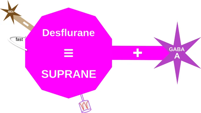 Desflurane ballicule — decagon mechanism diagram
