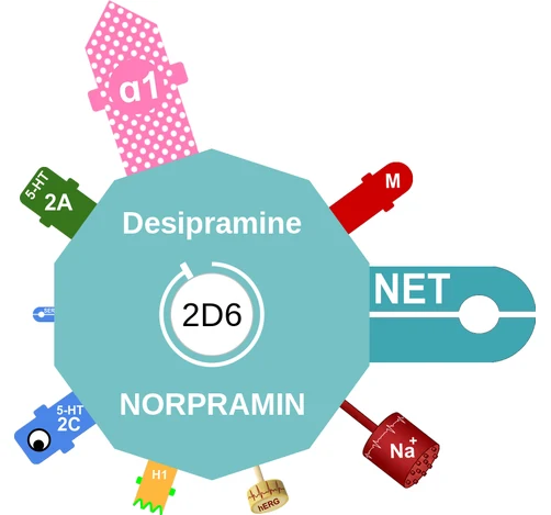 Desipramine ballicule — decagon mechanism diagram