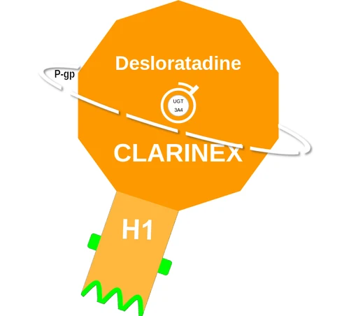 Desloratadine ballicule — decagon mechanism diagram