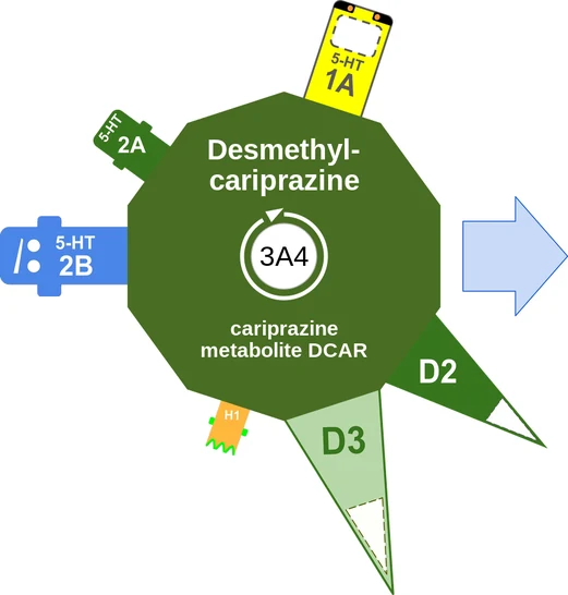 Desmethylcariprazine ballicule — decagon mechanism diagram