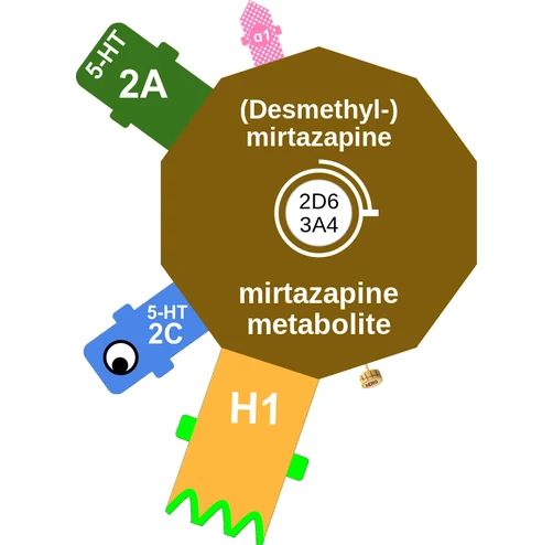 (Desmethyl-) mirtazapine ballicule — decagon mechanism diagram