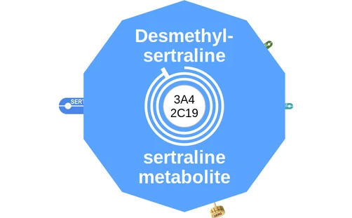 Desmethylsertraline ballicule — decagon mechanism diagram