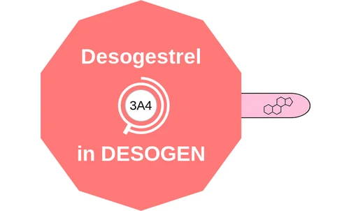 Desogestrel ballicule: receptor binding, kinetics and half-life diagram