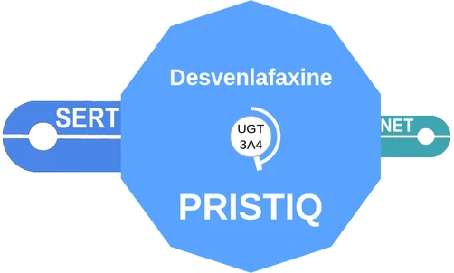 Desvenlafaxine ballicule — decagon mechanism diagram