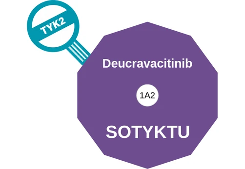 Deucravacitinib ballicule: receptor binding, kinetics and half-life diagram