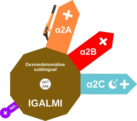 Dexmedetomidine sublingual ballicule — decagon mechanism diagram