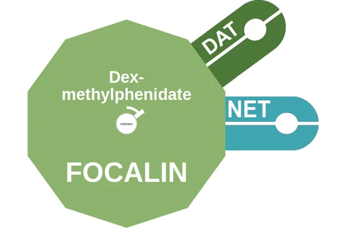 Dex methylphenidate ballicule: receptor binding, kinetics and half-life diagram