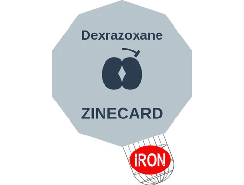 Dexrazoxane ballicule: receptor binding, kinetics and half-life diagram