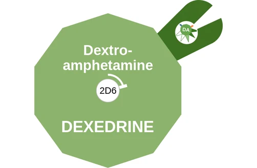 Dextro amphetamine ballicule: receptor binding, kinetics and half-life diagram