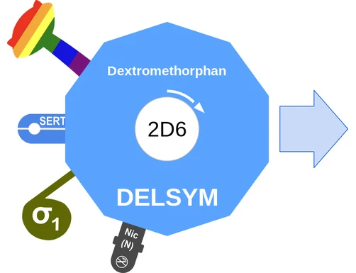 Dextromethorphan ballicule: receptor binding, kinetics and half-life diagram