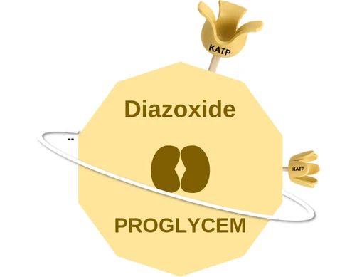 Diazoxide ballicule — decagon mechanism diagram