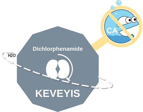 Dichlorphenamide ballicule — decagon mechanism diagram