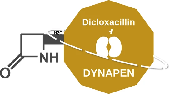 Dicloxacillin ballicule — decagon mechanism diagram