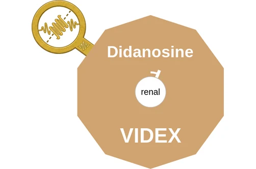 Didanosine ballicule: receptor binding, kinetics and half-life diagram