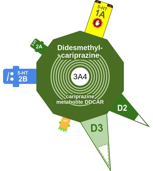 Didesmethylcariprazine ballicule — decagon mechanism diagram