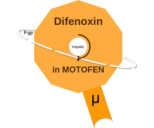 Difenoxin ballicule: receptor binding, kinetics and half-life diagram