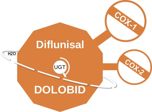 Diflunisal ballicule — decagon mechanism diagram
