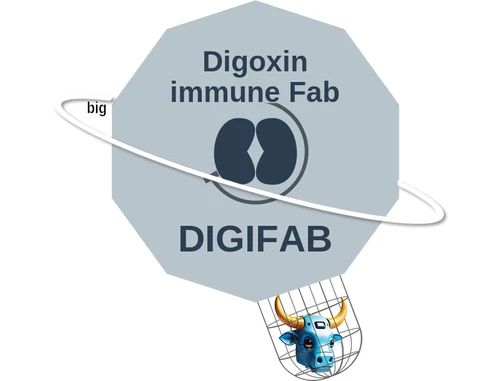 Digoxin immune Fab ballicule: receptor binding, kinetics and half-life diagram