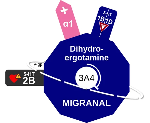 Dihydroergotamine ballicule — decagon mechanism diagram