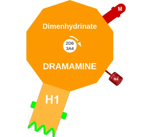 Dimenhydrinate ballicule — decagon mechanism diagram