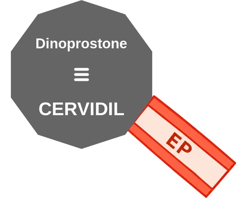 Dinoprostone ballicule: receptor binding, kinetics and half-life diagram