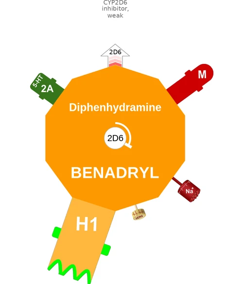 Diphenhydramine ballicule — decagon mechanism diagram