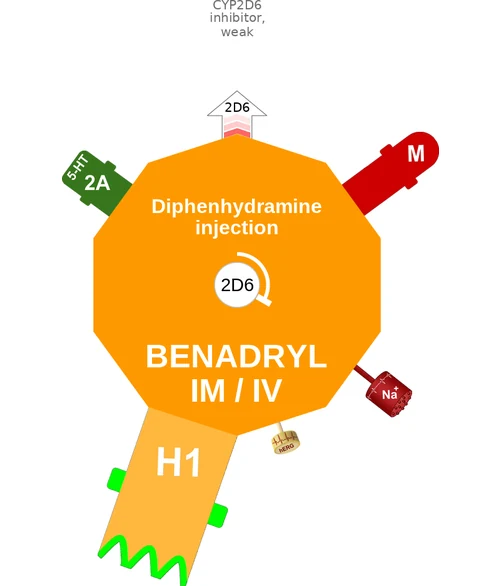 Diphenhydramine injection ballicule — decagon diagram of its receptor and enzyme targets