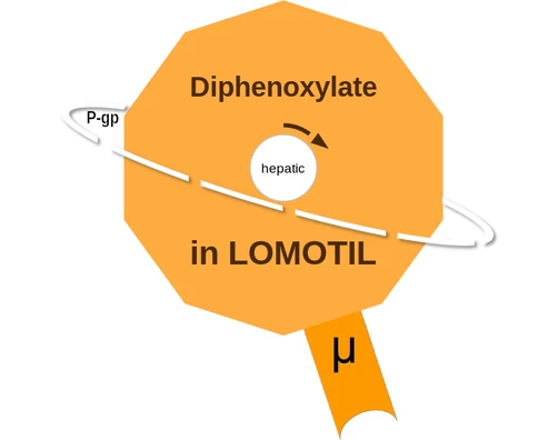 Diphenoxylate ballicule — decagon mechanism diagram