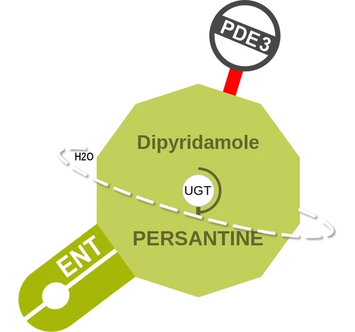 Dipyridamole ballicule — decagon mechanism diagram