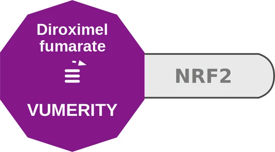 Diroximel fumarate ballicule — decagon mechanism diagram
