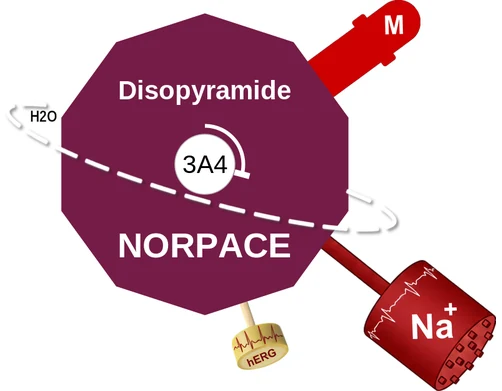 Disopyramide ballicule: receptor binding, kinetics and half-life diagram